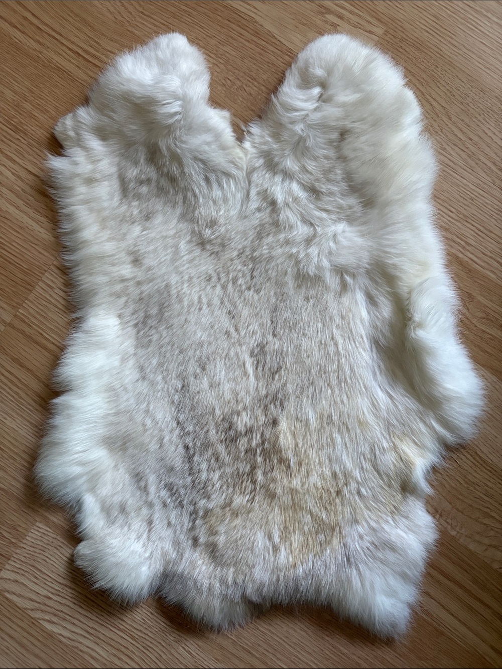 B0093 rabbit pelt